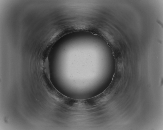 X0000097760211200803141730