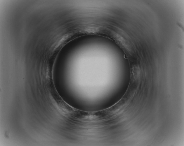 X0000097760212200803141730