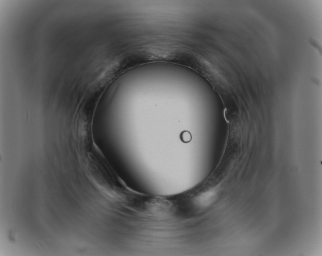 X0000097760215200803141730