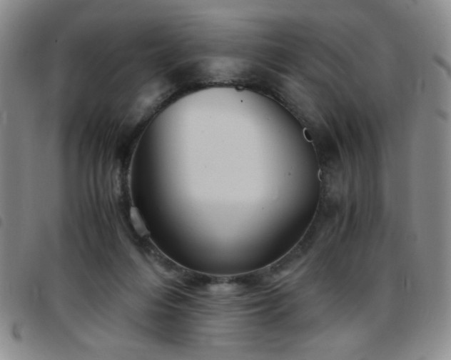 X0000097760216200803141730