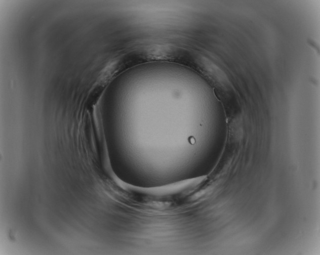 X0000097760217200803141730