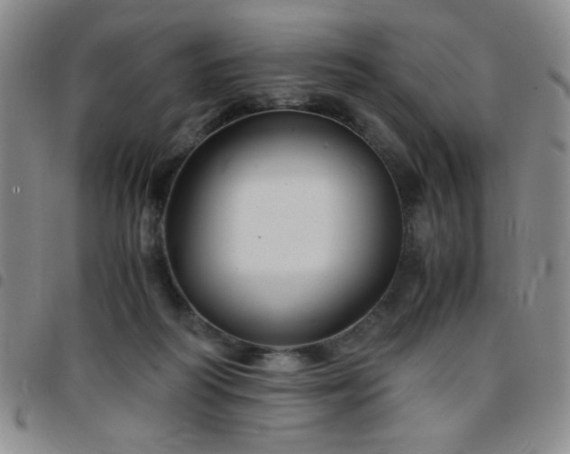 X0000097760218200803141730