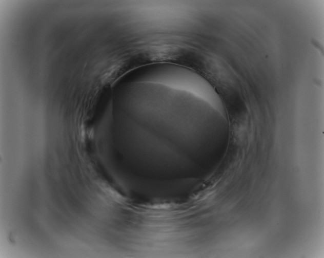 X0000097760219200803141730