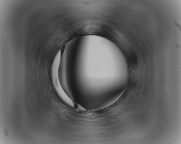 X0000097760221200803141730