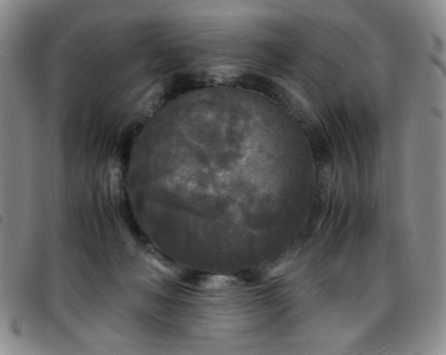 X0000097760222200803141730