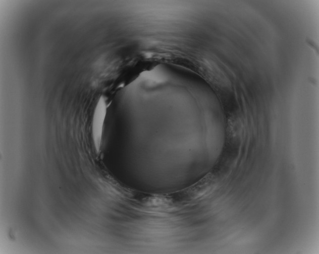 X0000097760223200803141730