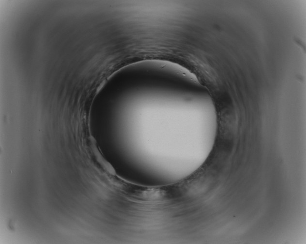 X0000097760225200803141730