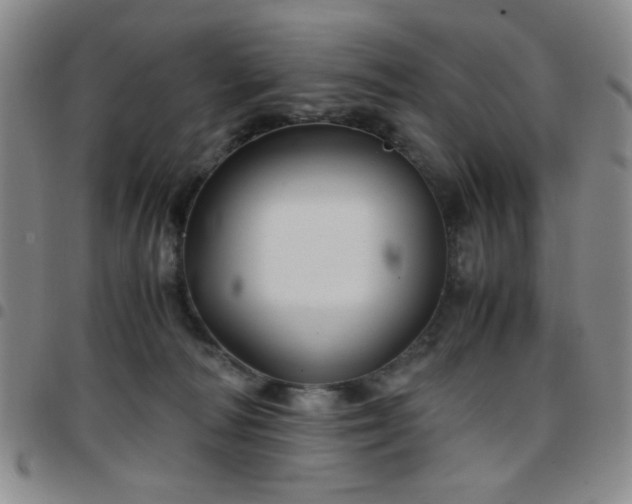 X0000097760226200803141730