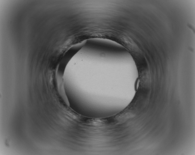 X0000097760229200803141730