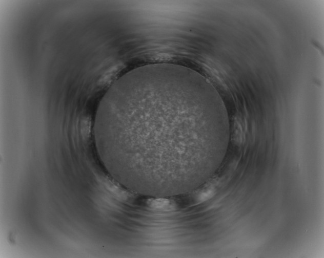 X0000097760230200803141730