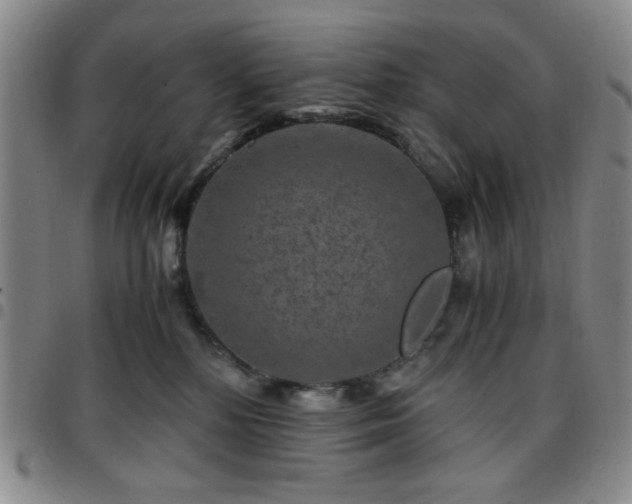 X0000097760232200803141730