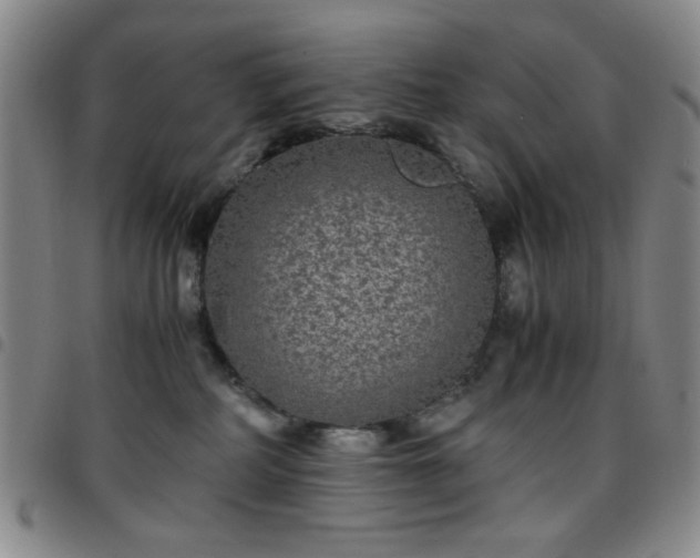 X0000097760234200803141730