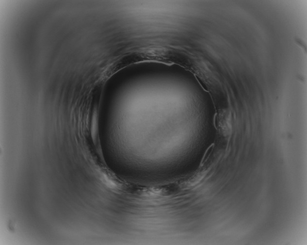 X0000097760235200803141730