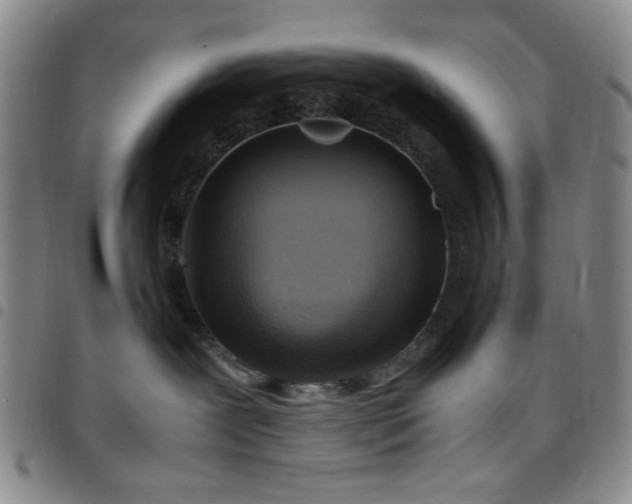 X0000097760239200803141730