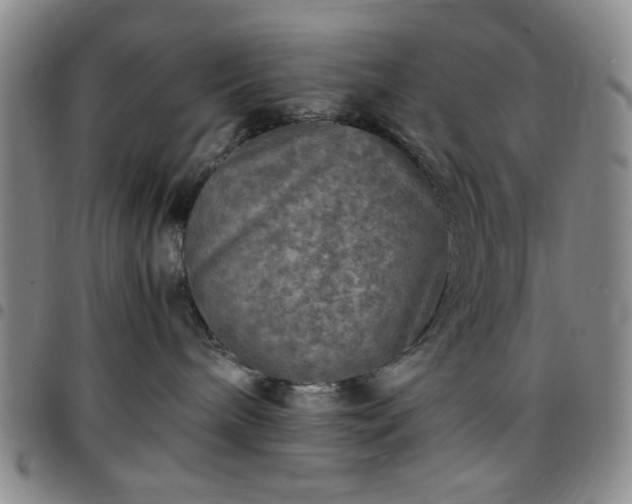 X0000097760240200803141730