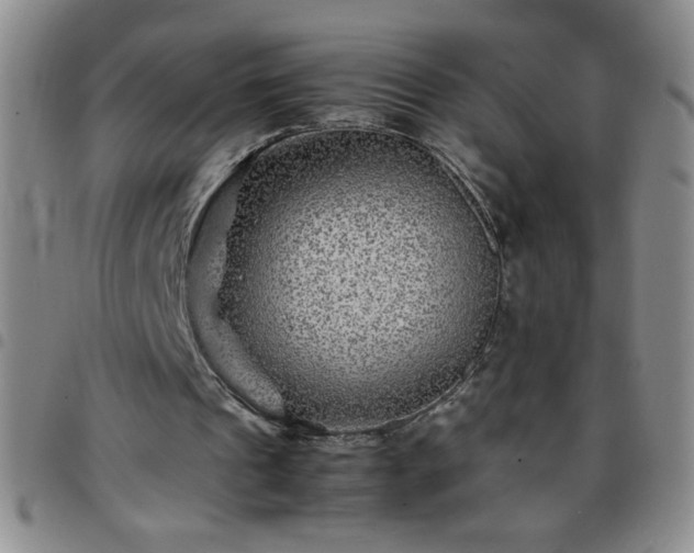 X0000097760241200803141729