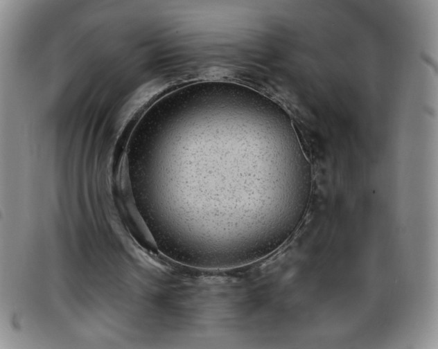 X0000097760242200803141729