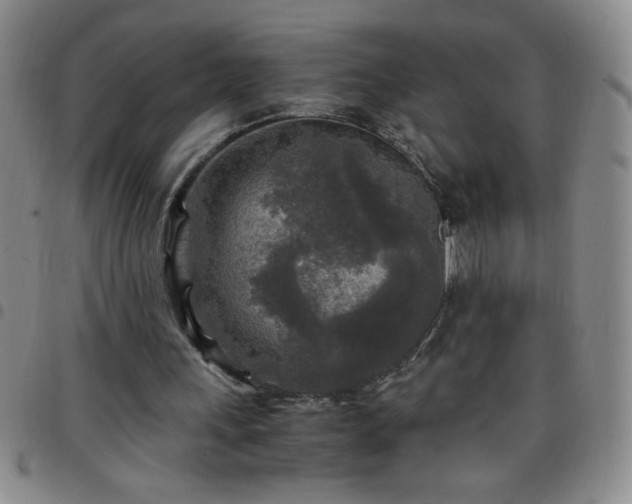 X0000097760243200803141729