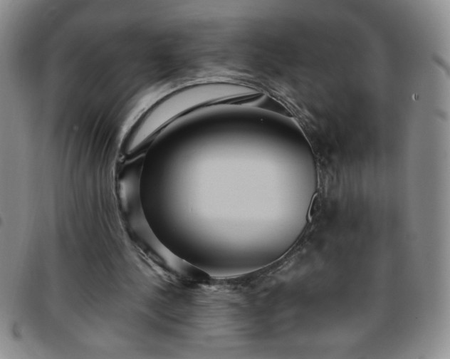 X0000097760244200803141729