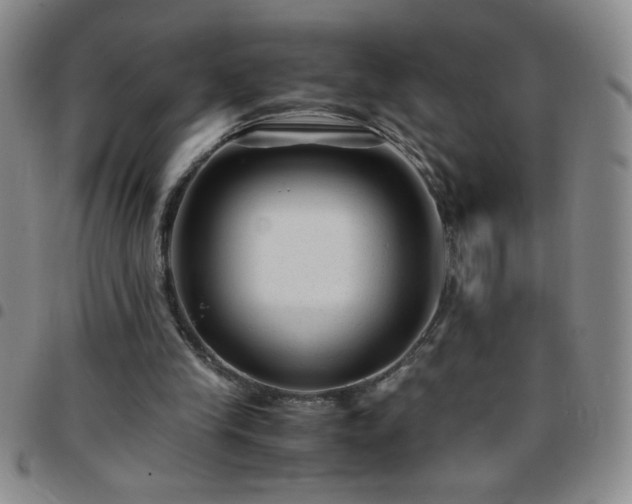 X0000097760245200803141729