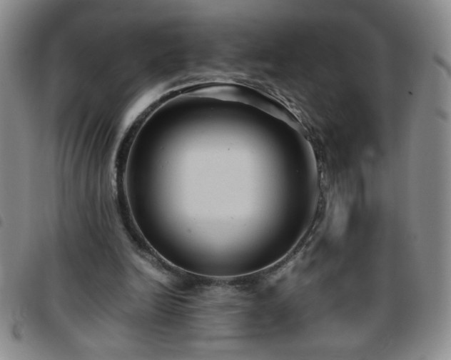 X0000097760246200803141729