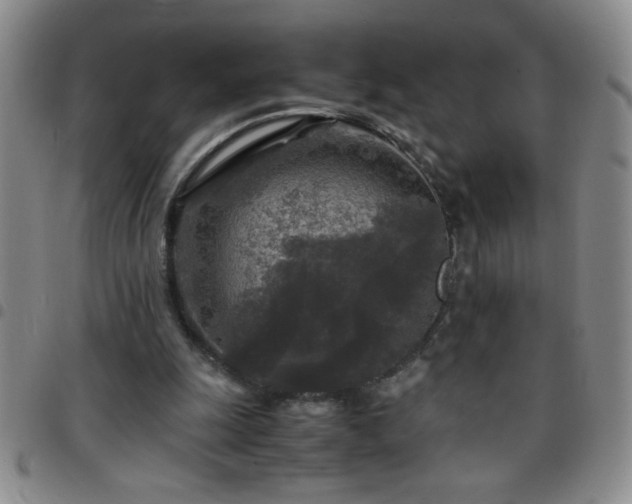 X0000097760247200803141729