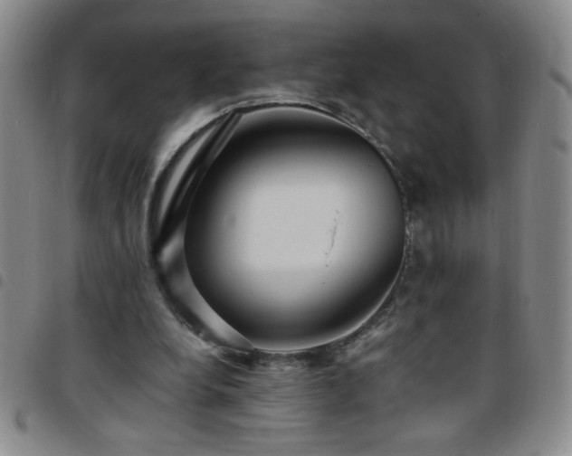 X0000097760248200803141729