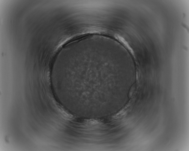 X0000097760249200803141729