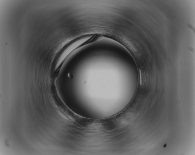 X0000097760252200803141729