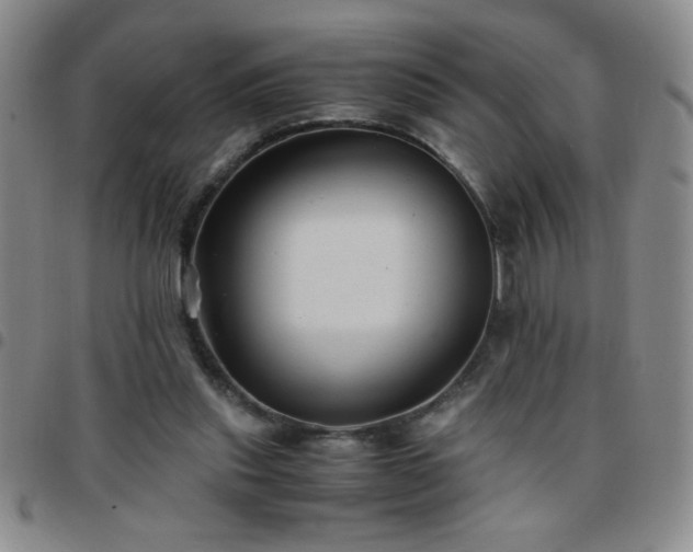 X0000097760253200803141729