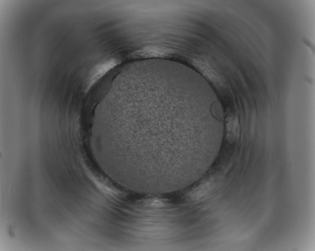 X0000097760254200803141729