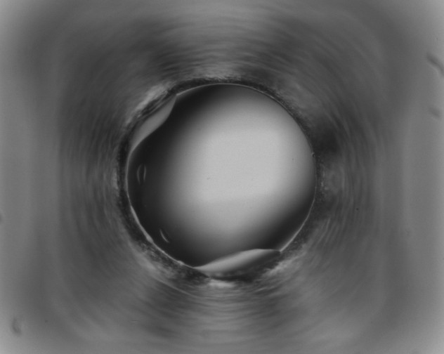 X0000097760256200803141729