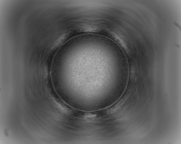 X0000097760257200803141729