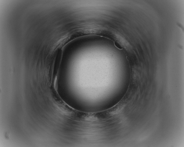 X0000097760258200803141729