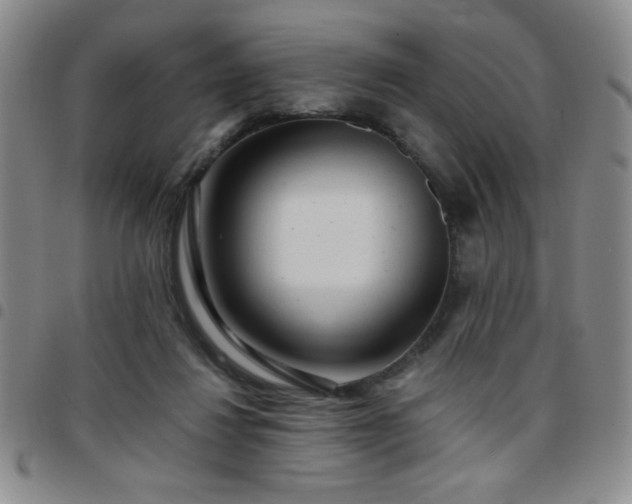 X0000097760260200803141729