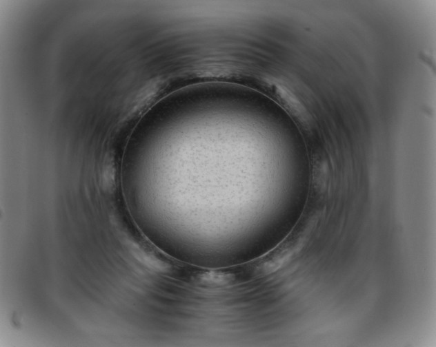 X0000097760261200803141729