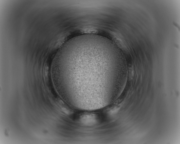 X0000097760263200803141729