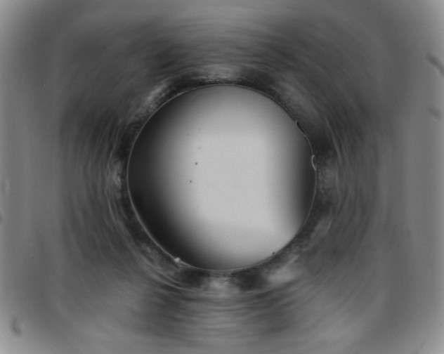 X0000097760264200803141729