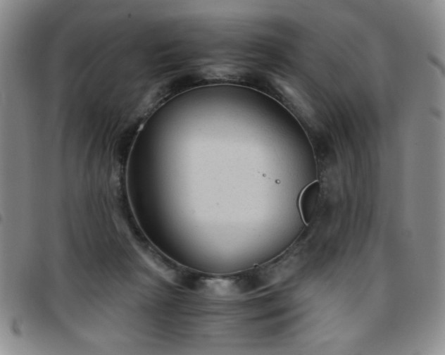 X0000097760265200803141729