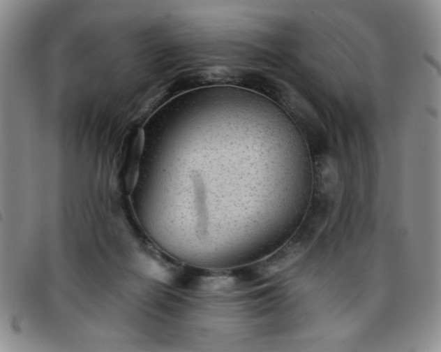 X0000097760266200803141729