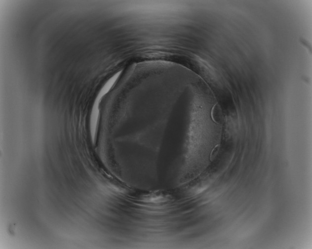 X0000097760267200803141729