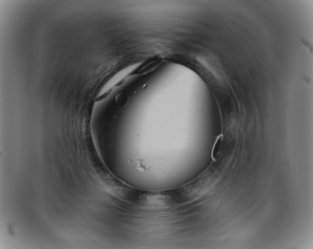 X0000097760268200803141729