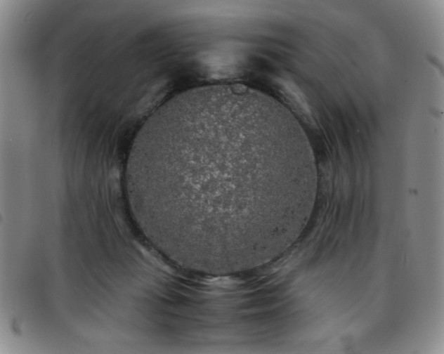 X0000097760269200803141729