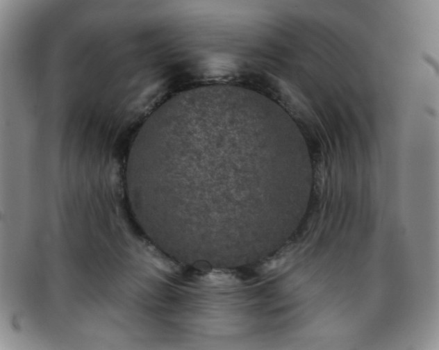 X0000097760270200803141729