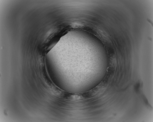 X0000097760272200803141729