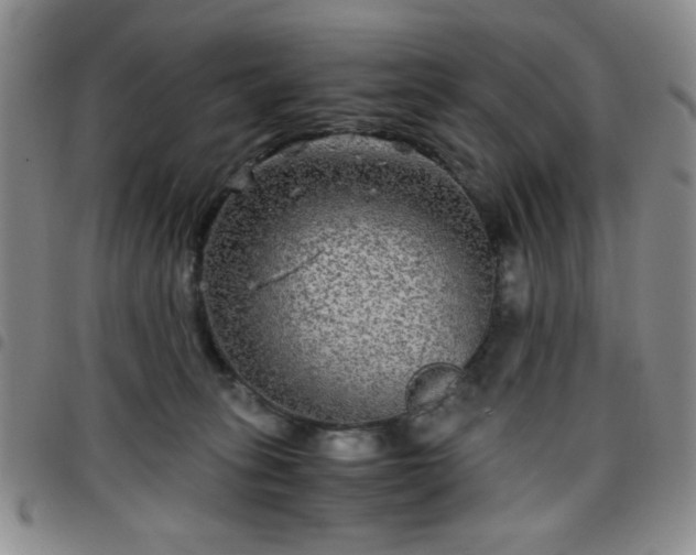 X0000097760275200803141729