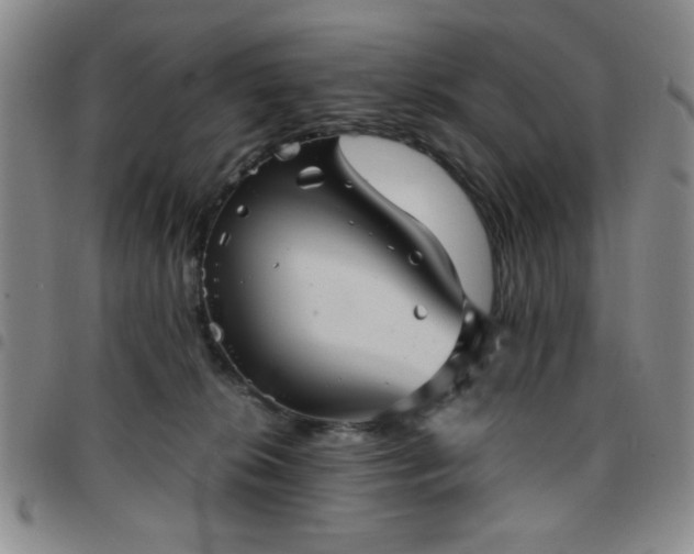 X0000097760276200803141729