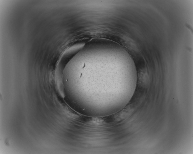 X0000097760278200803141729