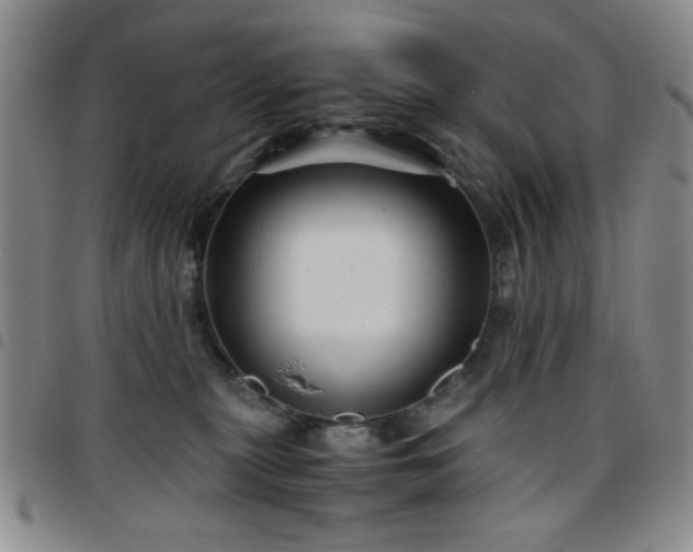 X0000097760279200803141729