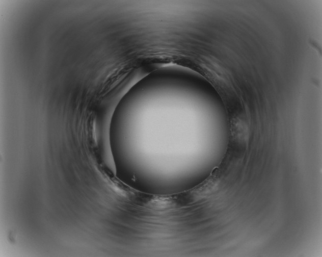 X0000097760280200803141729